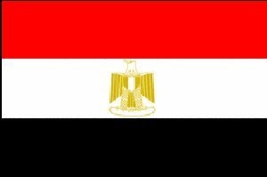 Египет активизирует национальное примирение в Палестине - ảnh 1